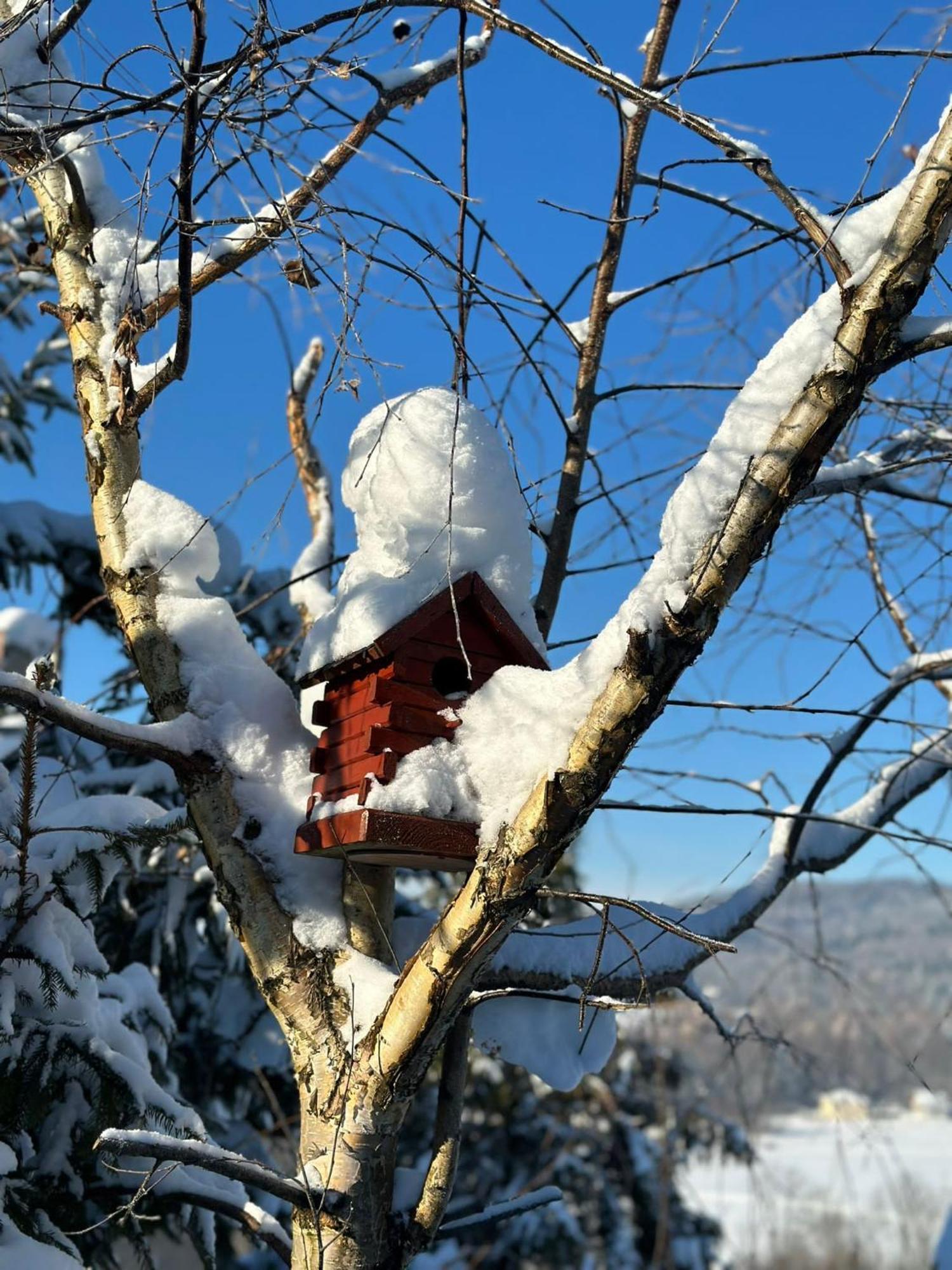 Chata Drewniana Stefanowka Slemien エクステリア 写真