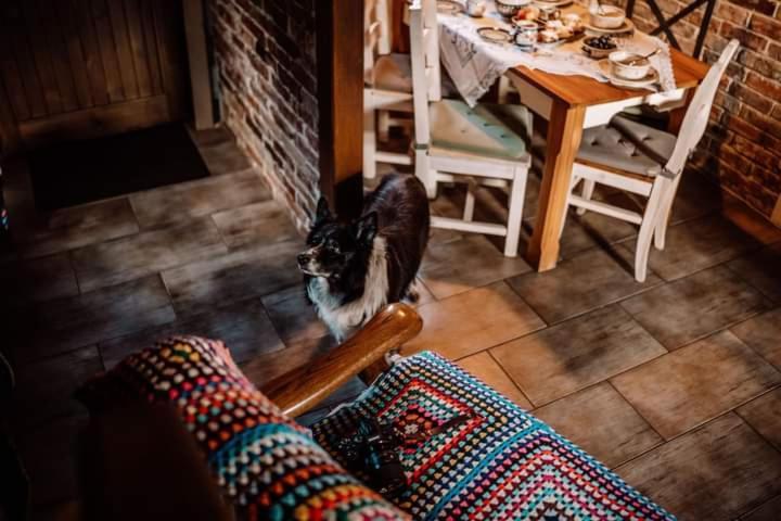 Chata Drewniana Stefanowka Slemien エクステリア 写真