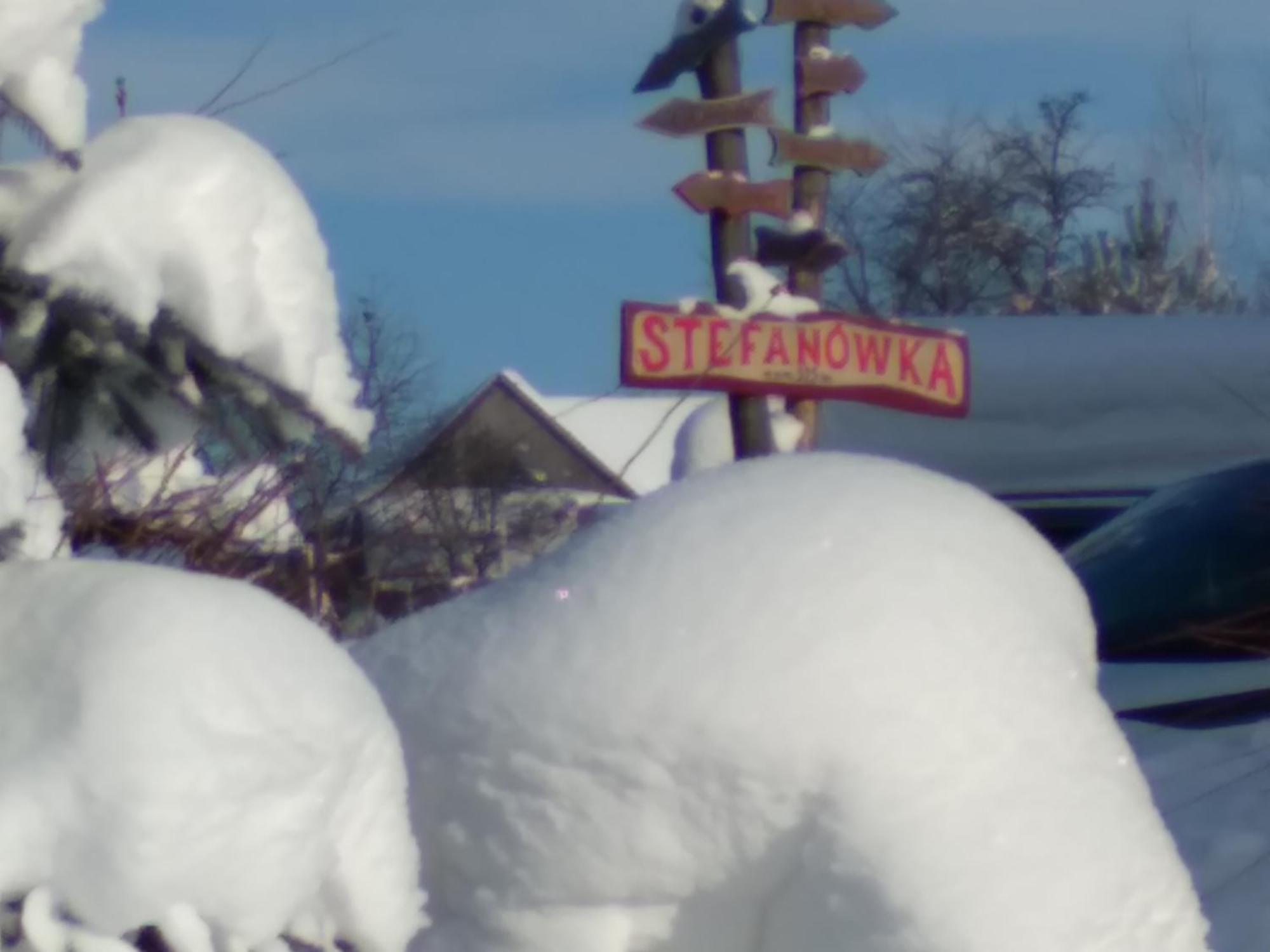 Chata Drewniana Stefanowka Slemien 部屋 写真