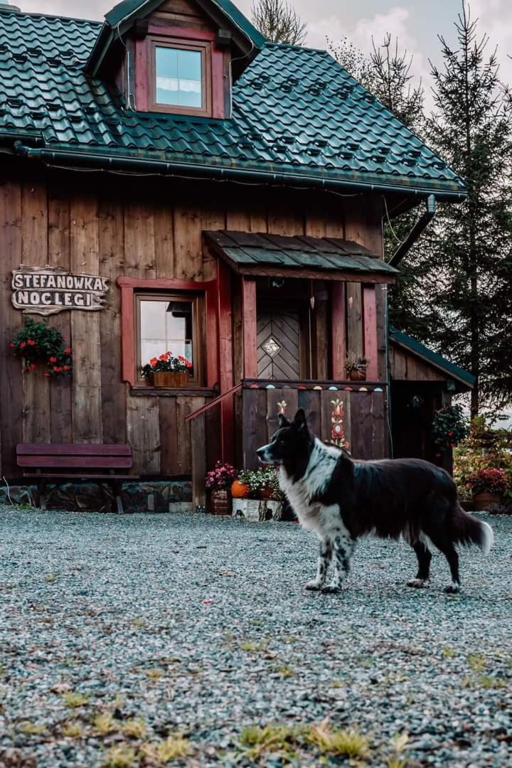 Chata Drewniana Stefanowka Slemien エクステリア 写真